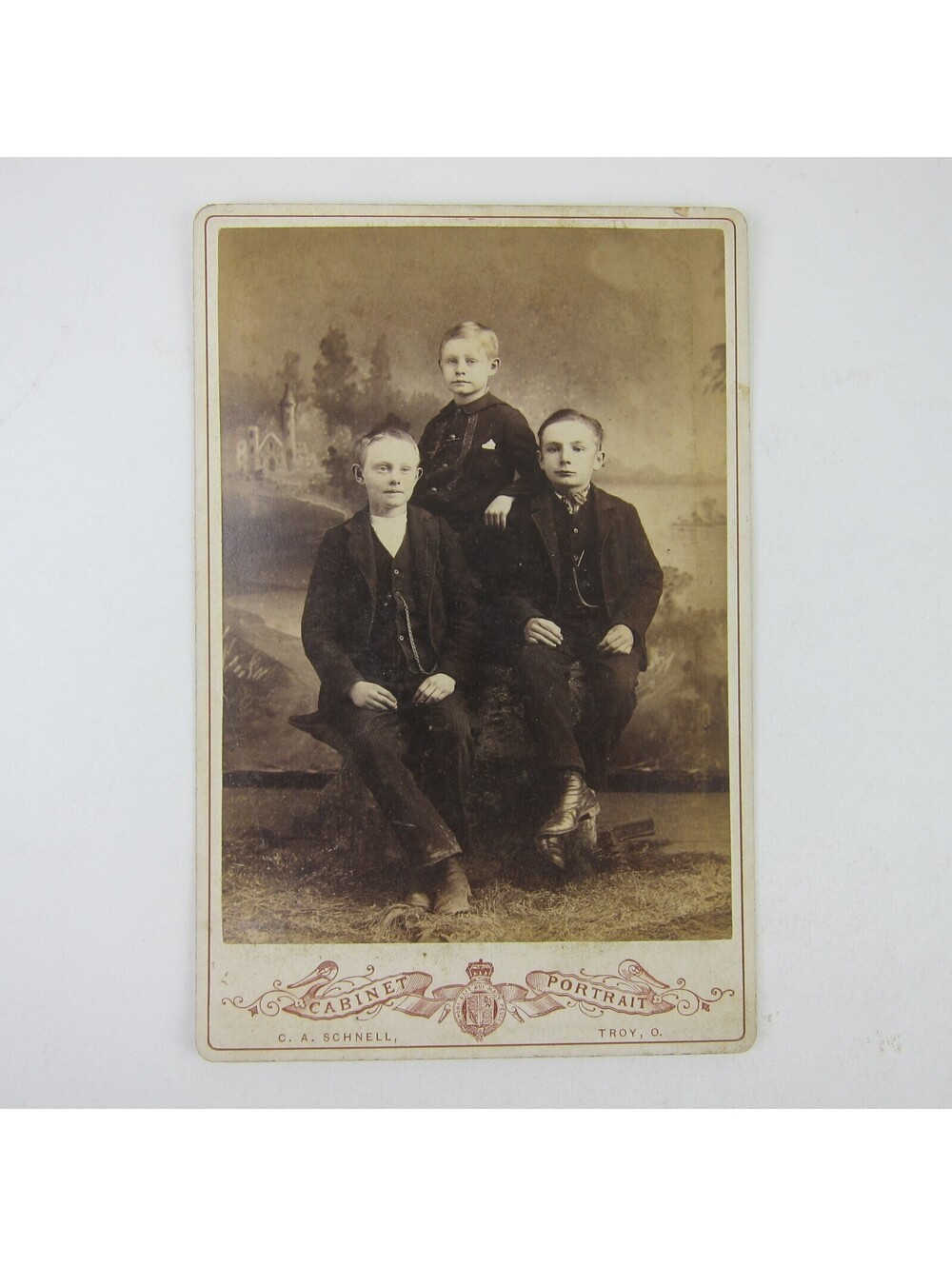 Cabinet Card Photograph 3 Boys Sit Portrait C.A. Schnell Troy Ohio Antique 1880s
